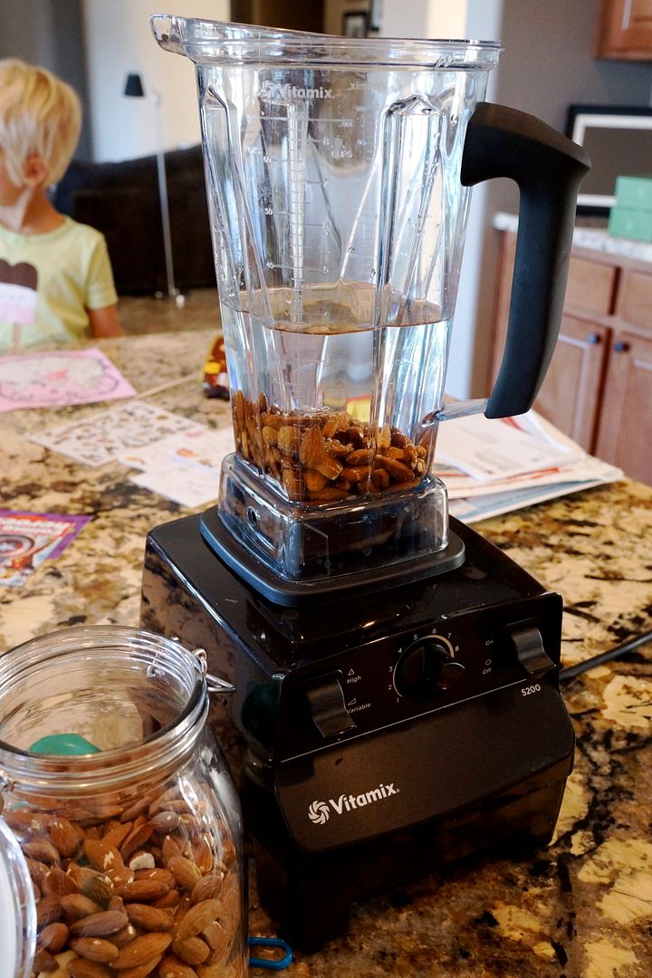 Anne's Odds and Ends Super Easy Vitamix Almond Milk Recipe